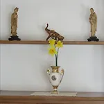 Casa Con Piscina Campo Da Tennis Vicino Al Mare E Alle Cinque Terre アパート アメーリア