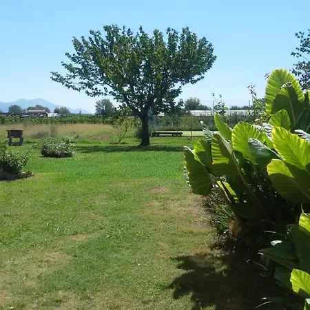 公寓 Casa Con Piscina Campo Da Tennis Vicino Al Mare E Alle Cinque Terre 阿梅利亚