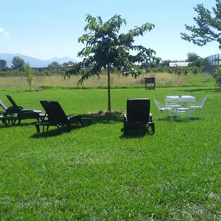 公寓 Casa Con Piscina Campo Da Tennis Vicino Al Mare E Alle Cinque Terre 阿梅利亚