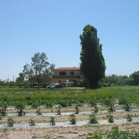 公寓 Casa Con Piscina Campo Da Tennis Vicino Al Mare E Alle Cinque Terre 阿梅利亚