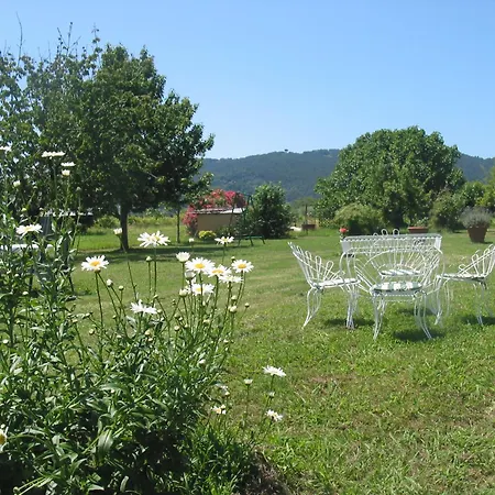 公寓 Casa Con Piscina Campo Da Tennis Vicino Al Mare E Alle Cinque Terre 阿梅利亚